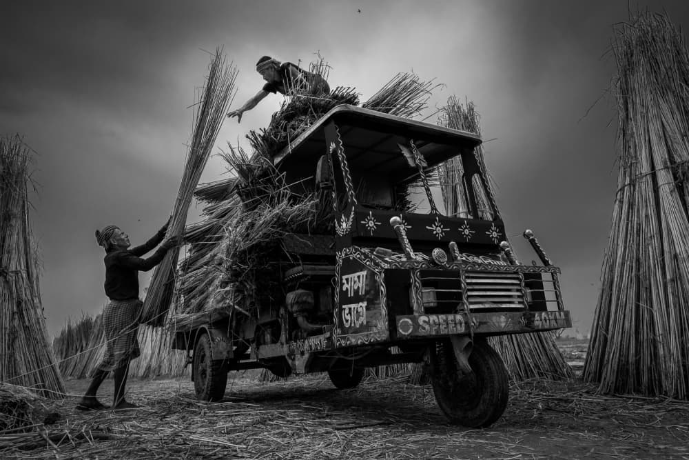 Loading Harvest Bundles by Kuntal Biswas — canvas wall art