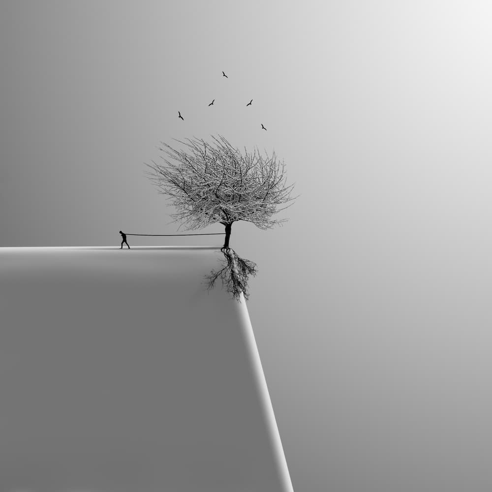 Man Pulling Tree by Hadi Malijani (Malenjani) — canvas wall art