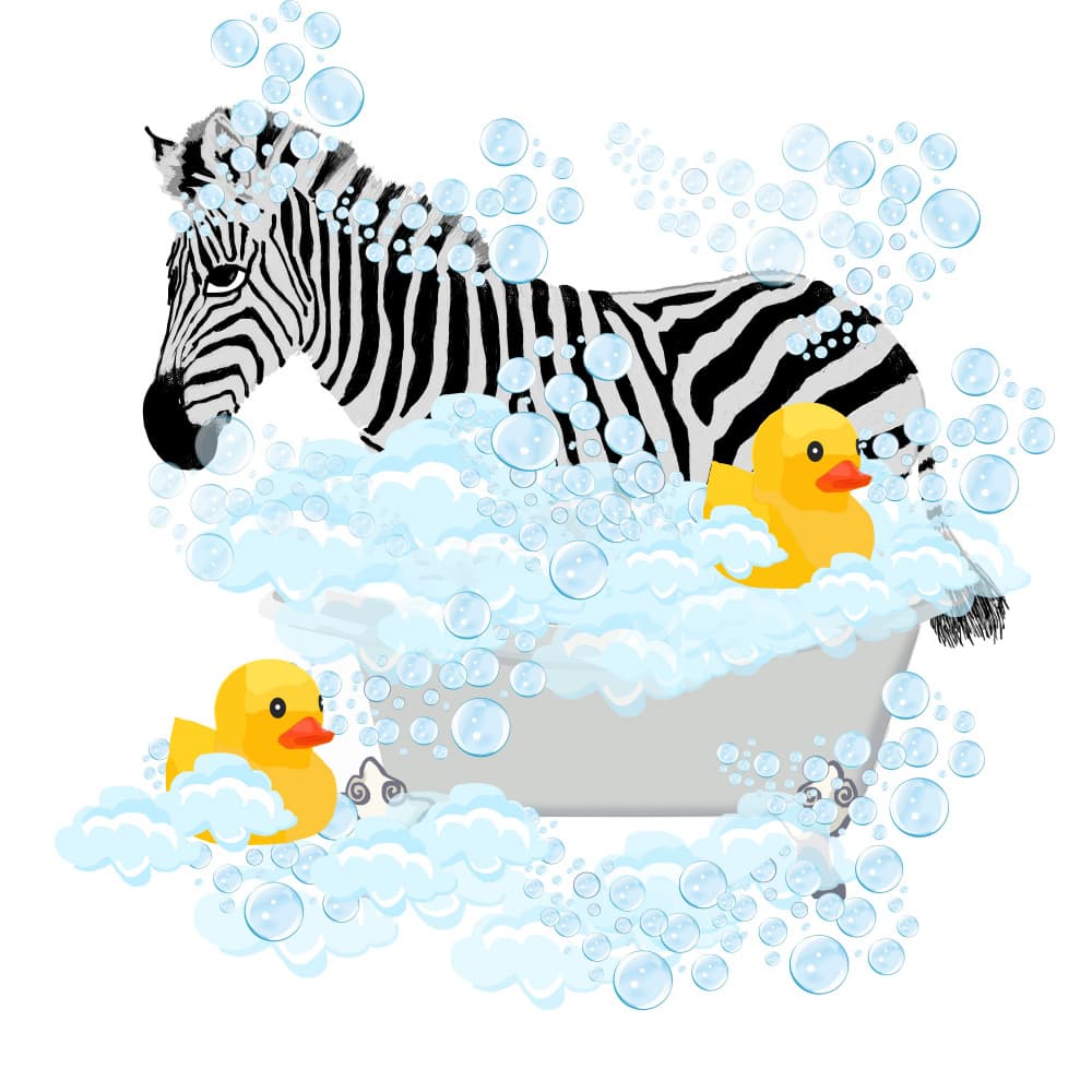 Zebra Bubble Bath by Lynnda Rakos — canvas wall art