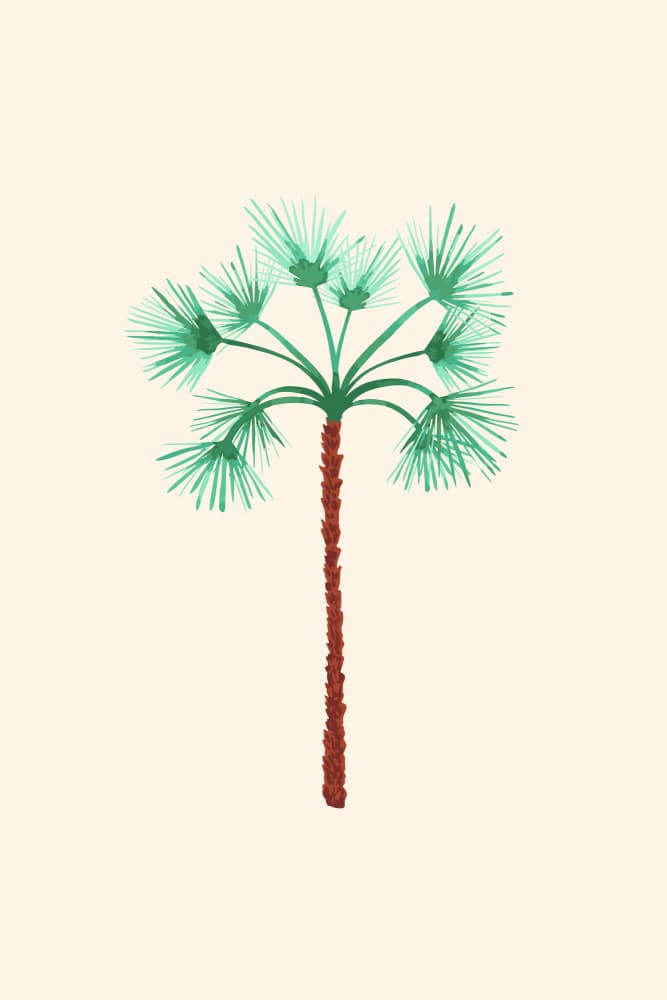 Minimal Tropical Palm by Karen Menzenbach — canvas wall art