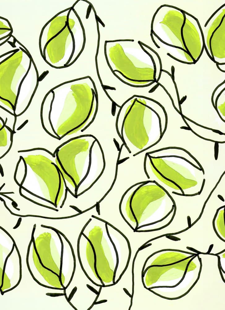 Organic Green Leaves by Lori Ann Folz — canvas wall art