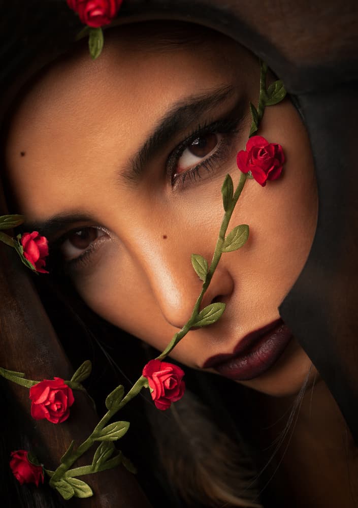 Dark Rose Beauty by Mehdi Mokhtari — canvas wall art