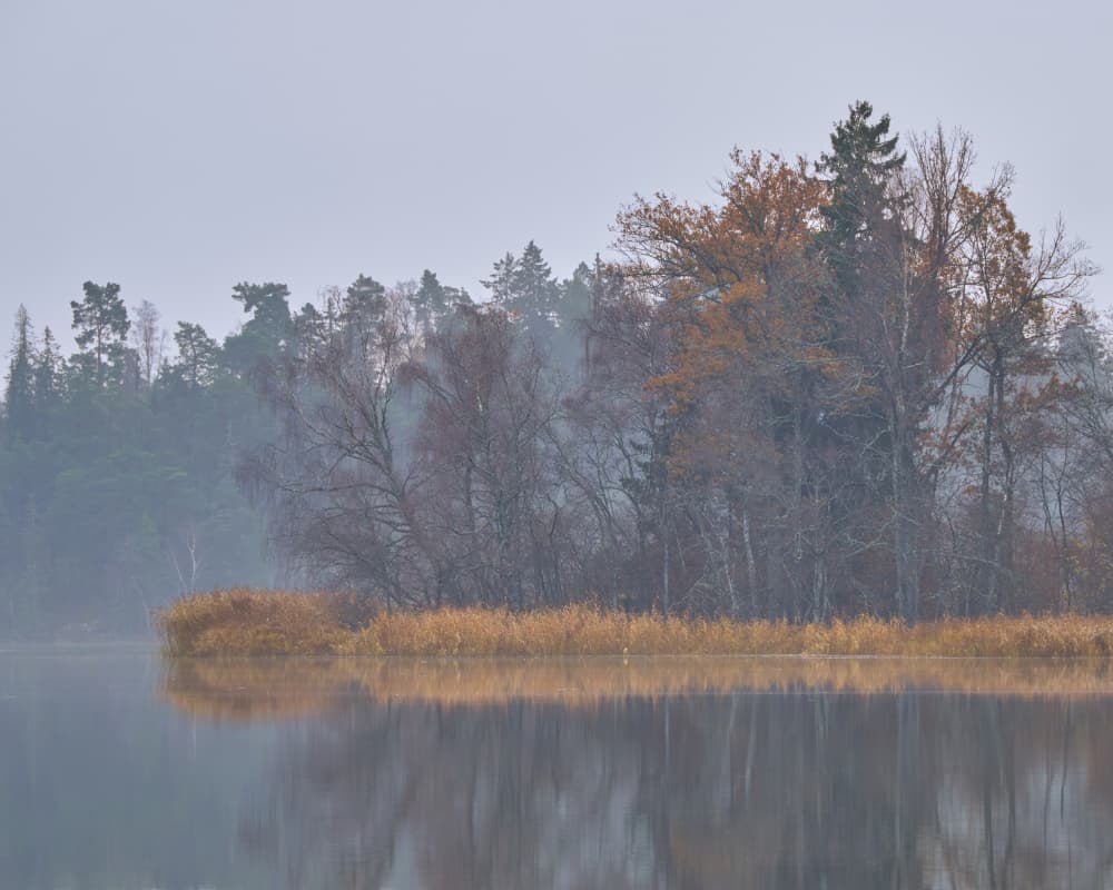 Misty Lakeside Reflections by Hamed Bank — canvas wall art