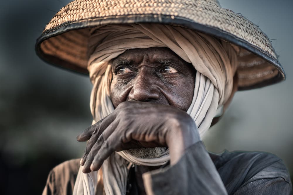 Contemplative Elder's Gaze by Trevor Cole — canvas wall art