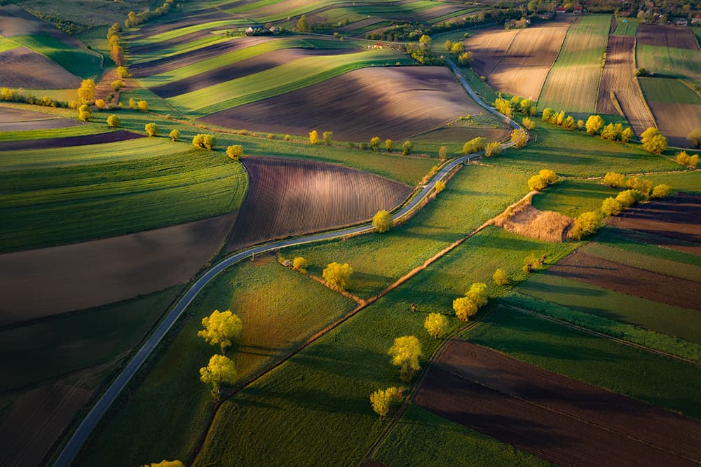 Golden Fields Winding Road by Karol Nienartowicz — canvas wall art
