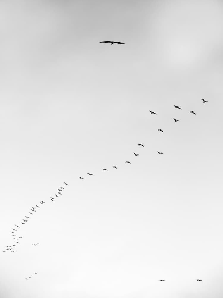Skyward Journey by Shot by Clint — canvas wall art
