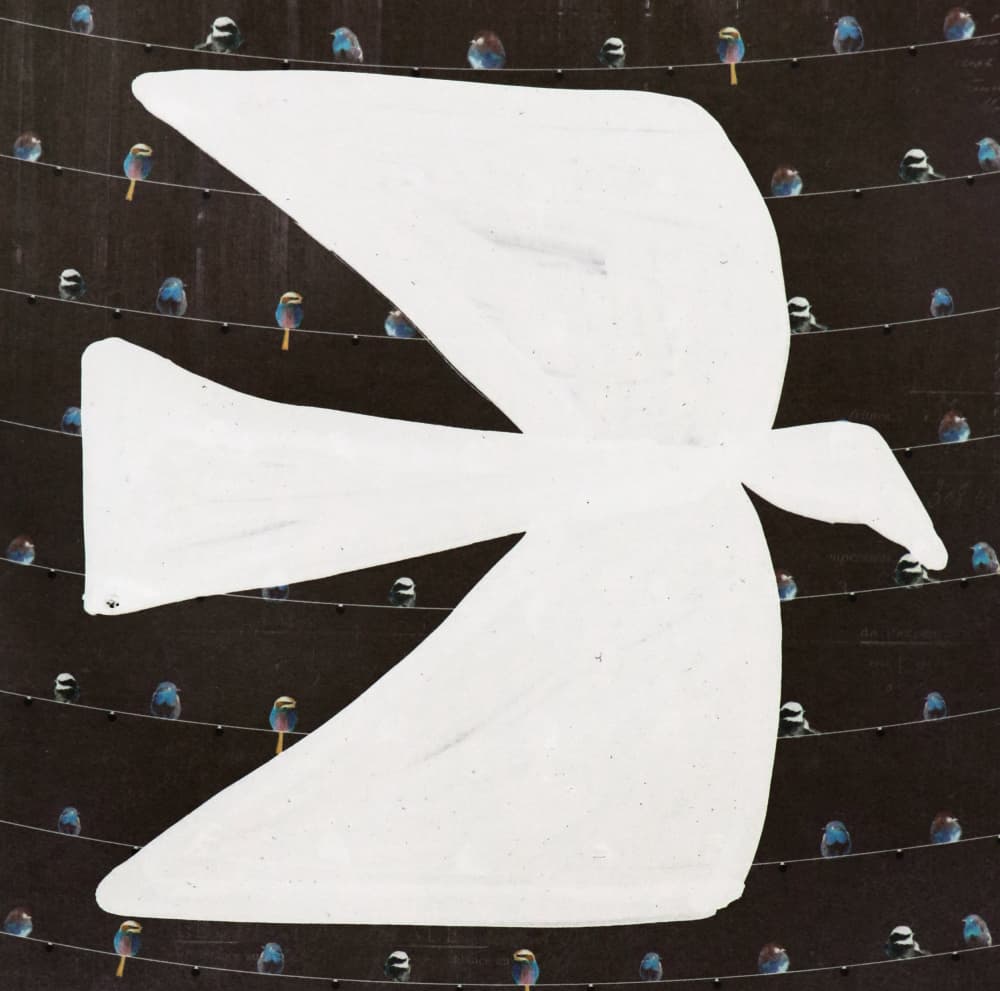 White Peace Dove by Santhosh ch — canvas wall art