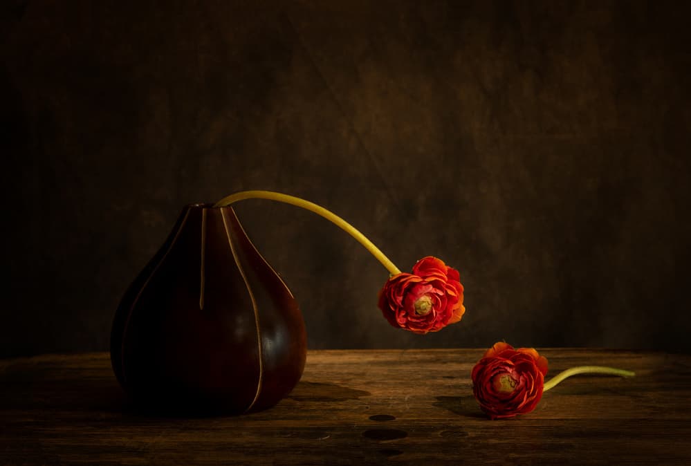 Moody Ranunculus Still Life by Dennis Zhang — canvas wall art