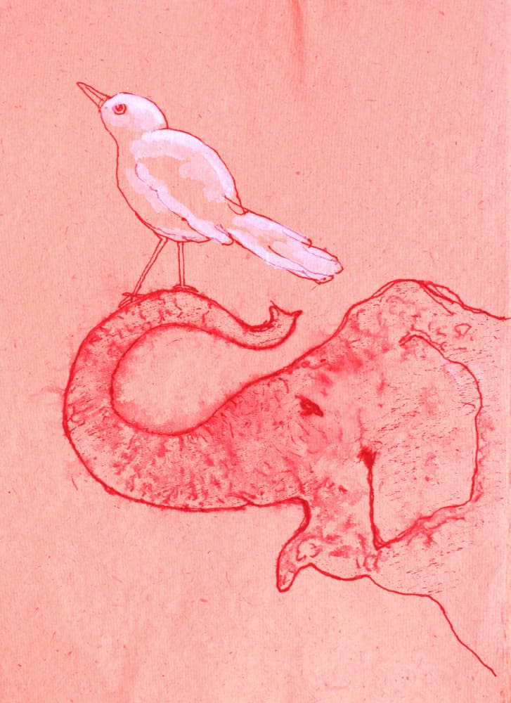 Whimsical Elephant and Bird by Santhosh ch — canvas wall art
