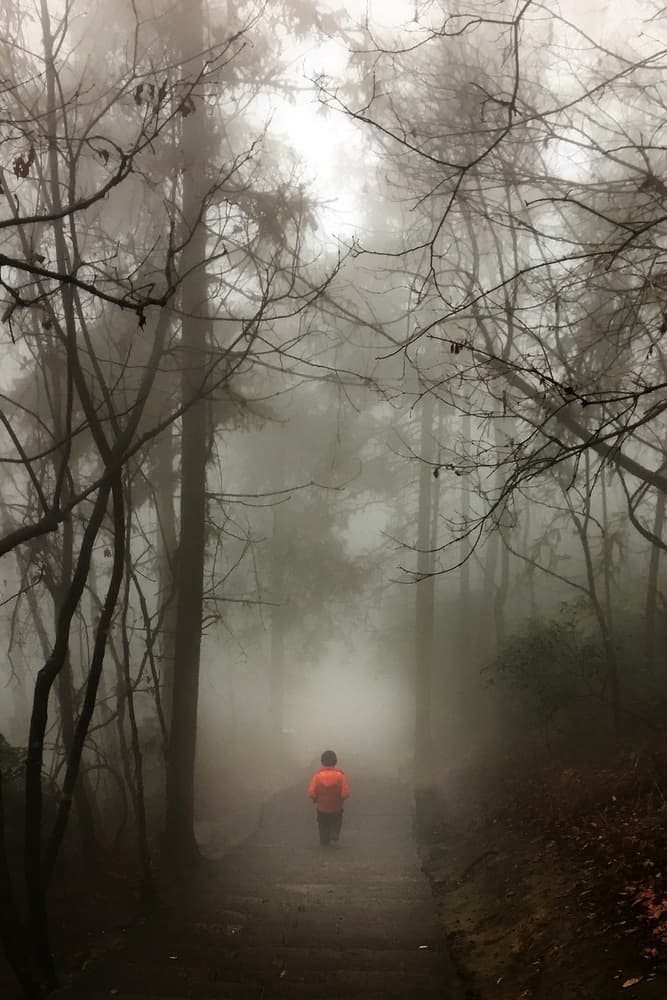 Child in Foggy Forest by Eric Zhang — canvas wall art