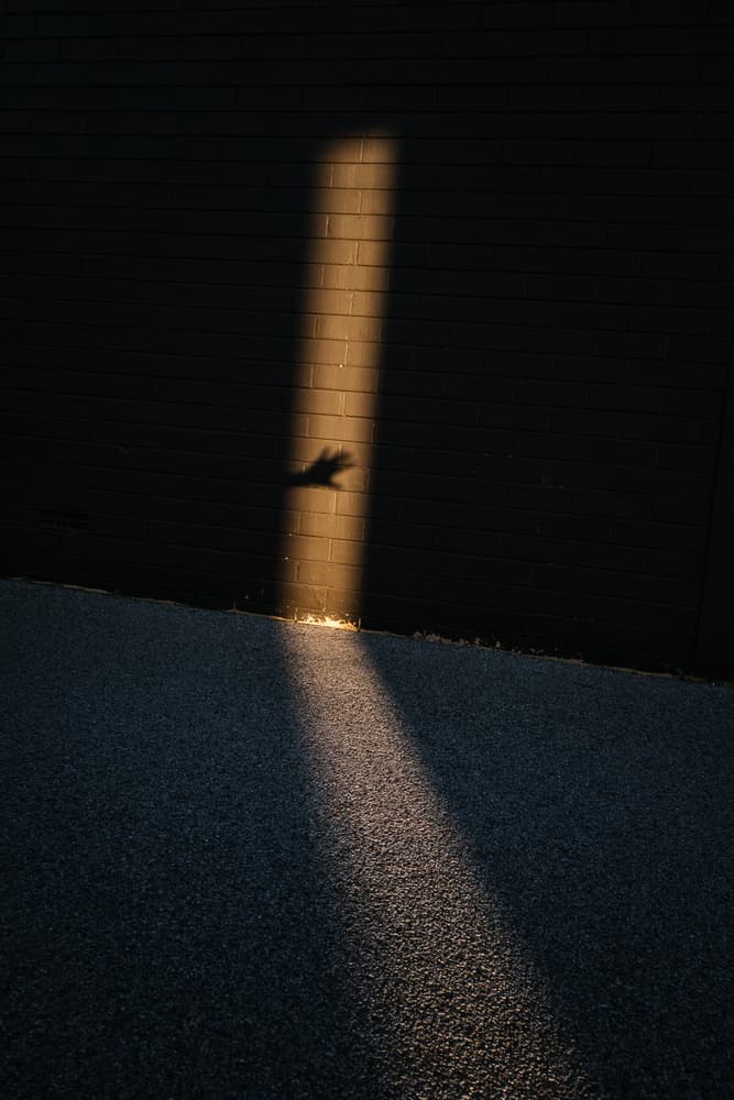 Golden Hand Shadow by Gloria Salgado Gispert — canvas wall art