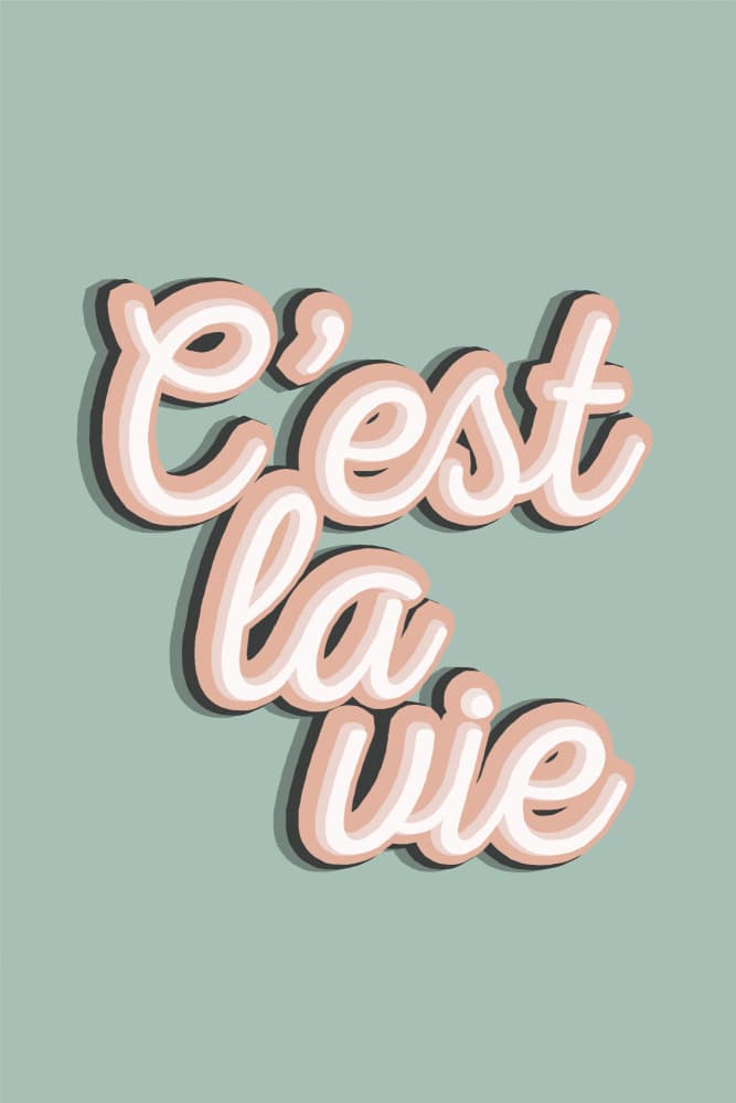 C'est La Vie Quote by Frankie Kerr-Dineen — canvas wall art