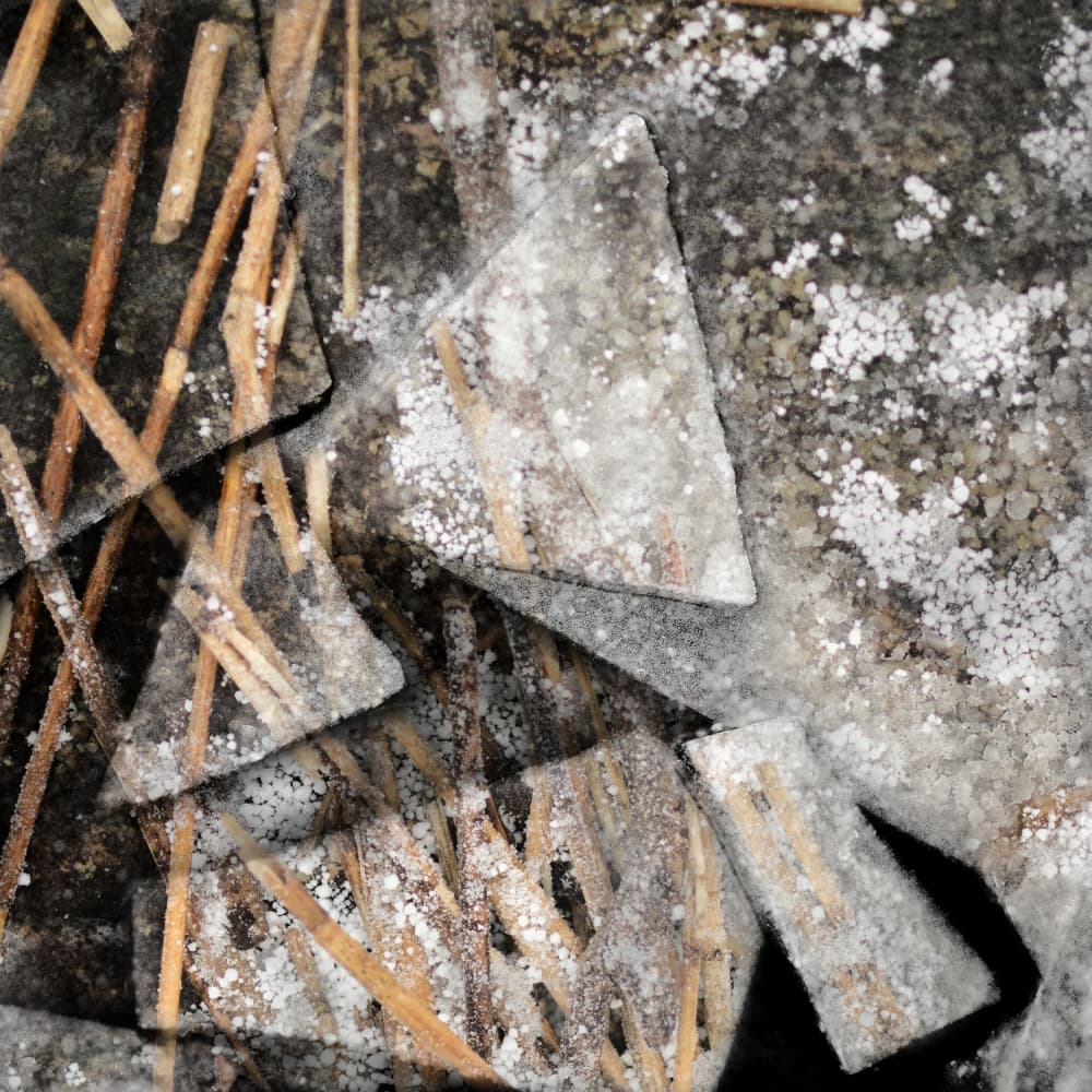Frozen Reeds and Ice by Christina Sillen — canvas wall art