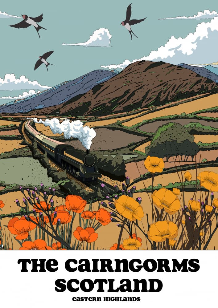Cairngorms Steam Journey by Nicholas — canvas wall art