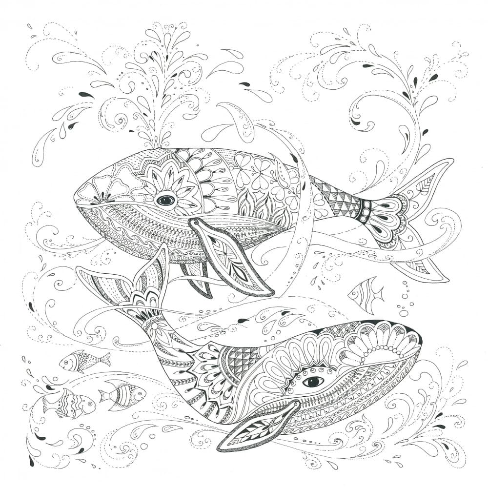 Two Whales by Isabelle Brent — canvas wall art