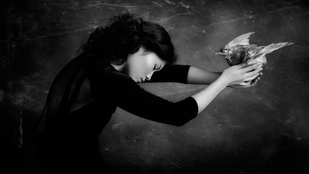 Melancholy Woman Holding Bird by Alexandra Fira — canvas wall art