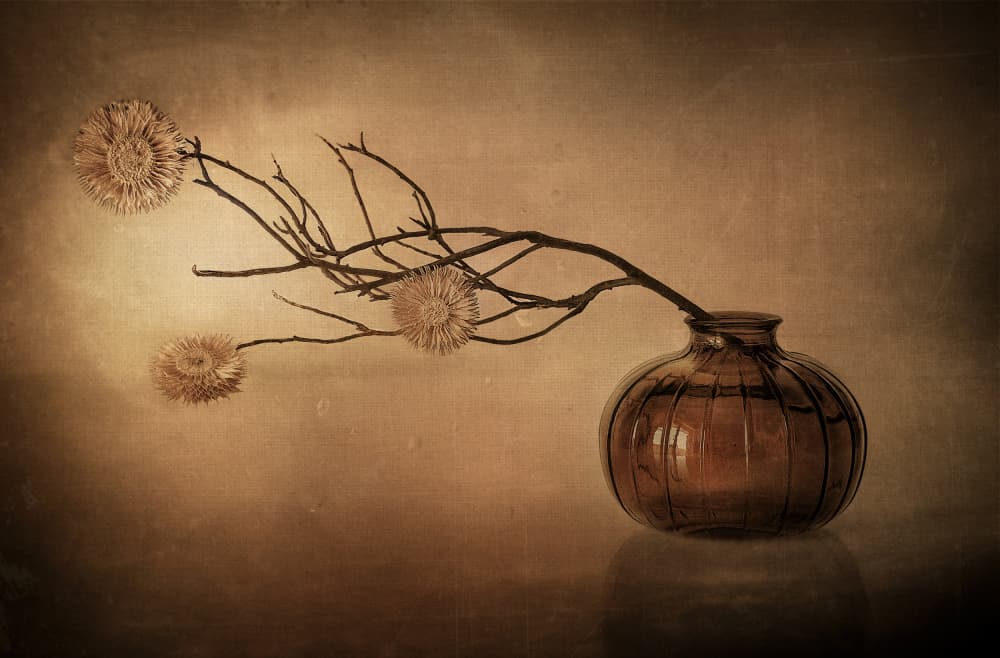 Rustic Vase Still Life by Elena Arjona — canvas wall art