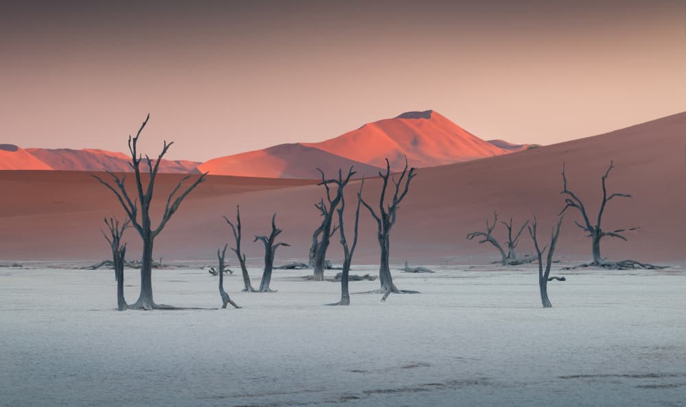 Stark Desert Beauty by Karol Nienartowicz — canvas wall art