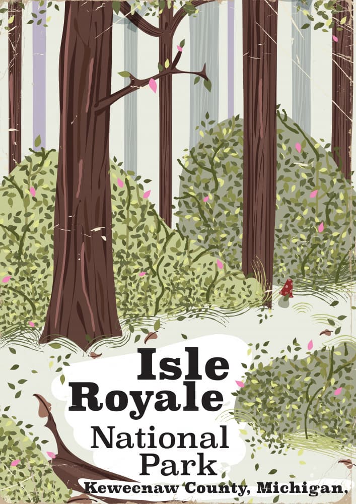Isle Royale Forest Path by Nicholas — canvas wall art