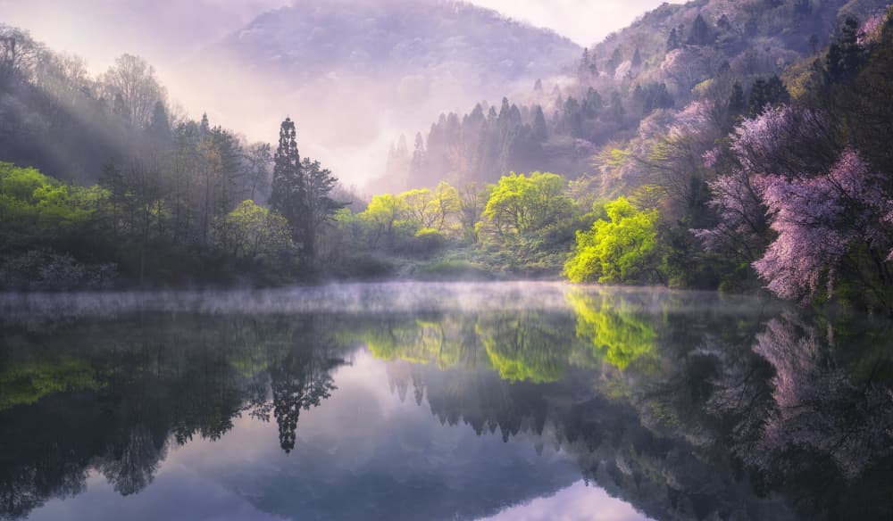 Misty Spring Mountain Lake by Tiger Seo — canvas wall art