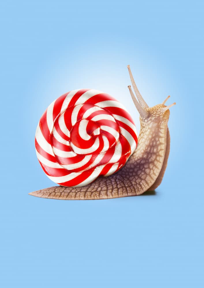 Lollipop Snail by Artem Pozdniakov — canvas wall art