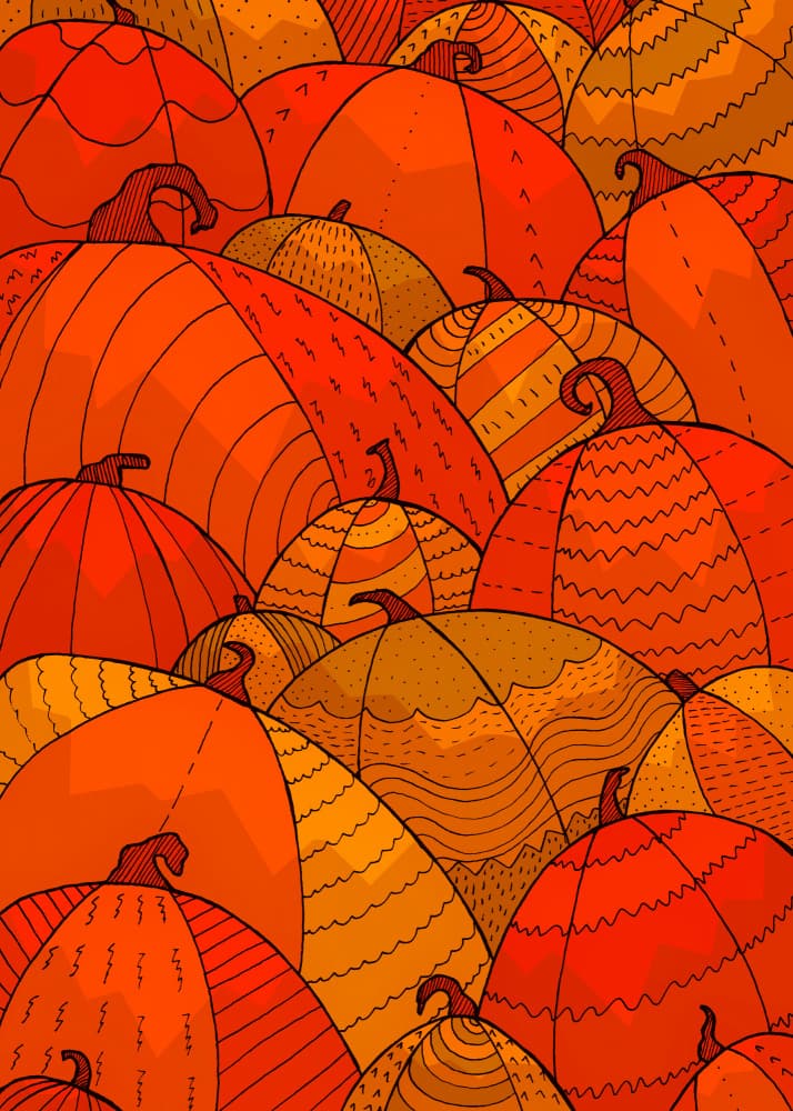 Autumn Pumpkin Patterns by Stephen Wade — canvas wall art