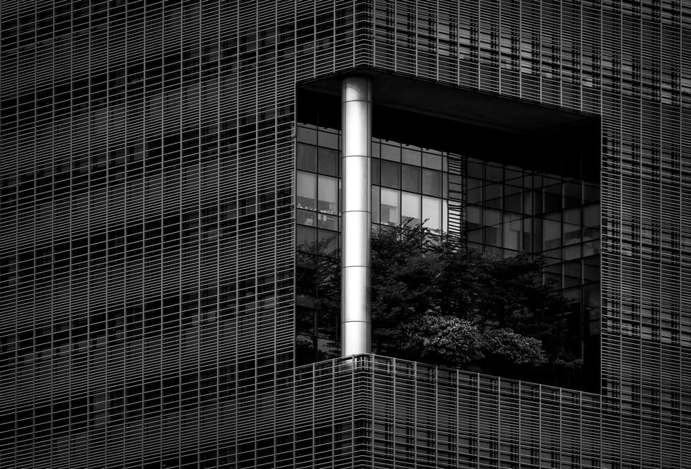 Urban Nature Facade by Hans-Wolfgang Hawerkamp — canvas wall art