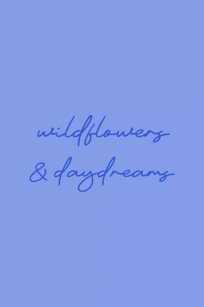 Wildflowers And Daydreams by Karen Menzenbach — canvas wall art