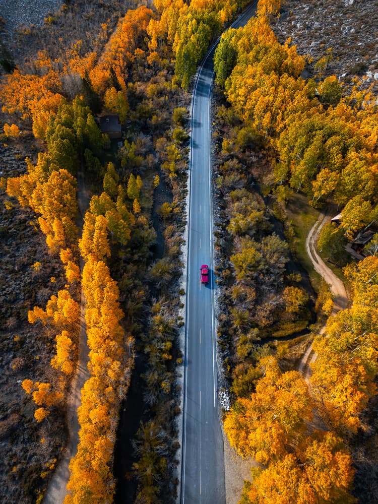 Into the autumn by Allen SDCA — canvas wall art