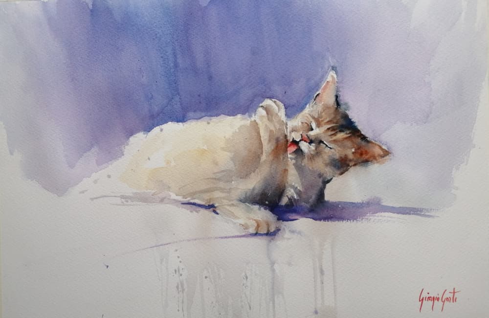 Sweet Cat Licking by Giorgio Gosti — canvas wall art