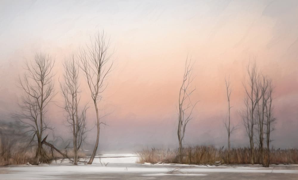 Misty Winter Dawn by Gilbert Claes — canvas wall art