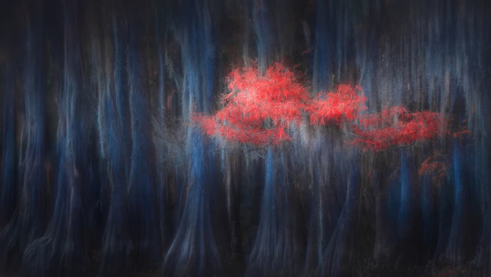 Ethereal Red Forest by Catherine Wang — canvas wall art