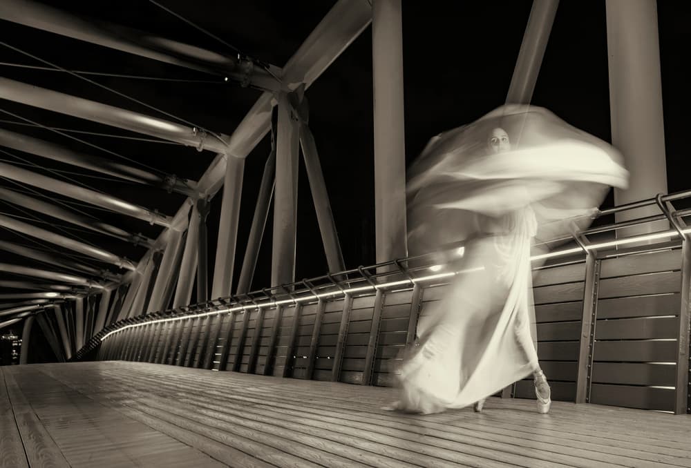 Graceful Bridge Dance by Rachel Pansky — canvas wall art