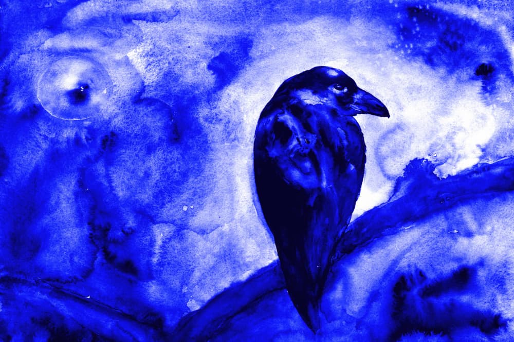 Raven Under Moonlight by RodMacIver — canvas wall art