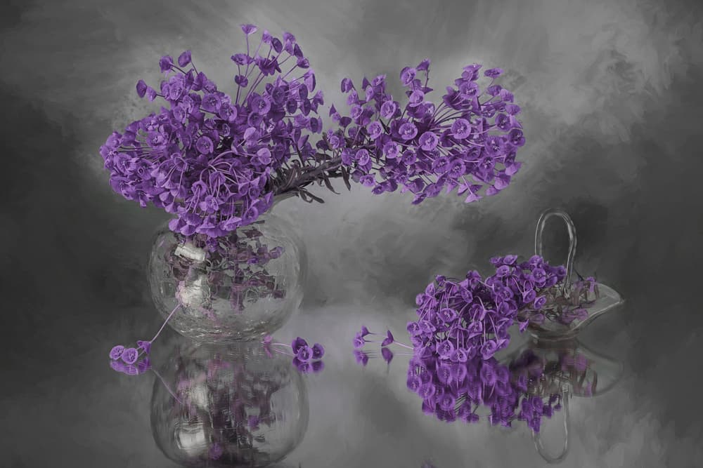 Purple Blooms Reflection by Lydia Jacobs — canvas wall art