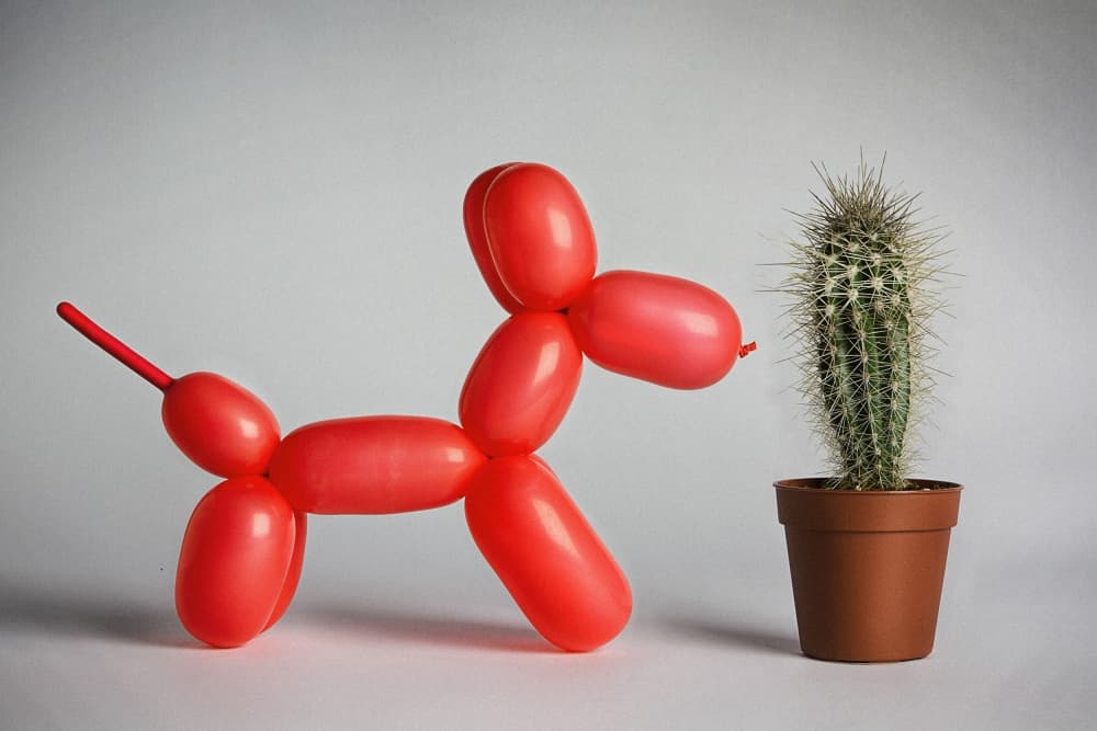 Balloon Dog Meets Cactus by Mister Solo — canvas wall art