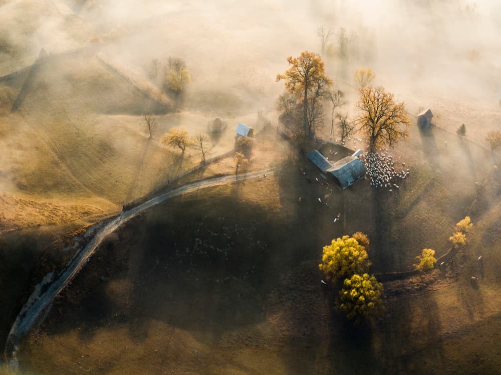 Misty Autumn Farm by Sveduneac Dorin Lucian — canvas wall art