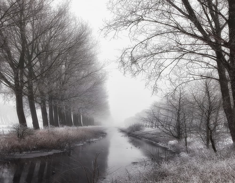 Misty Winter Canal Path by Yvette Depaepe — canvas wall art