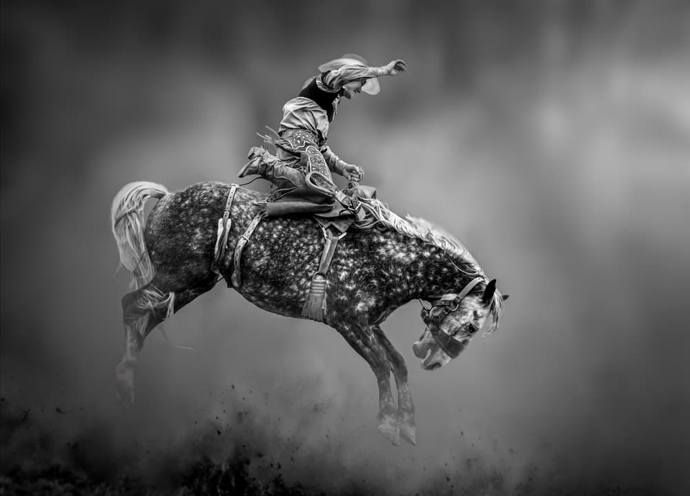 Cowboy Bucking Horse by Irene Wu — canvas wall art