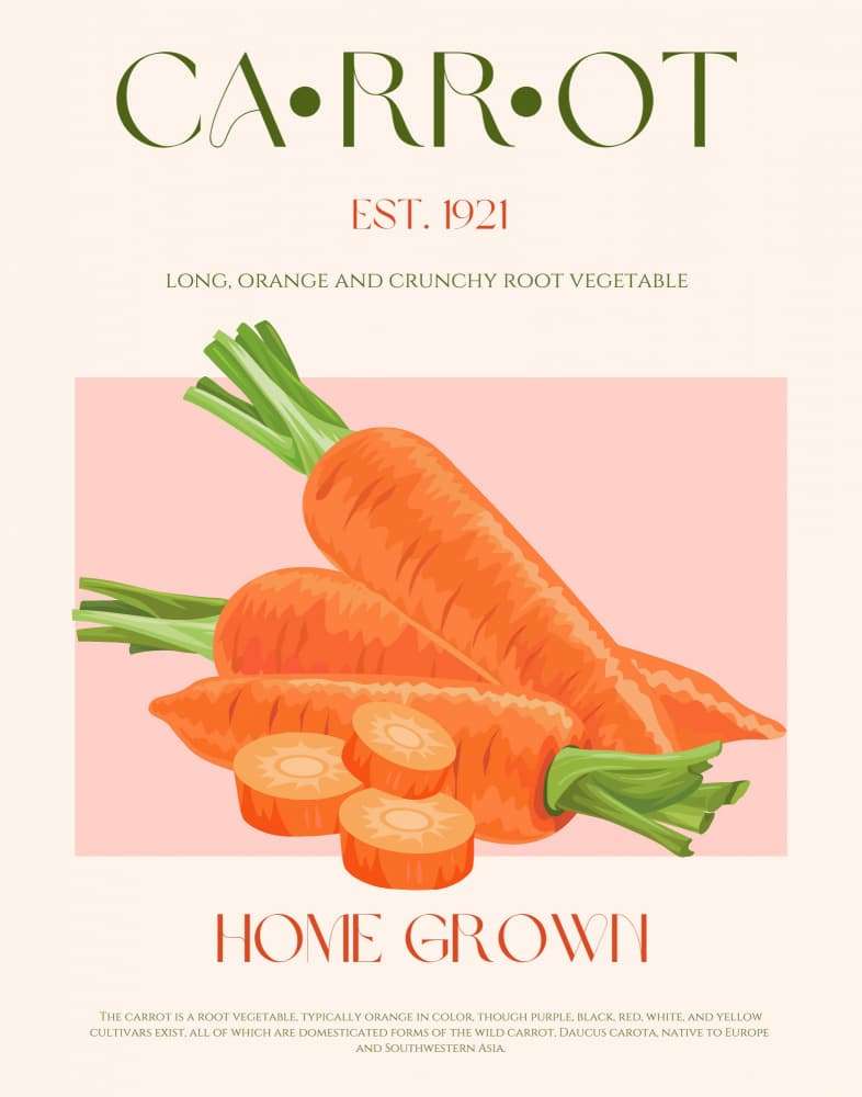 Classic Carrot Illustration by Nazma Khokhar — canvas wall art