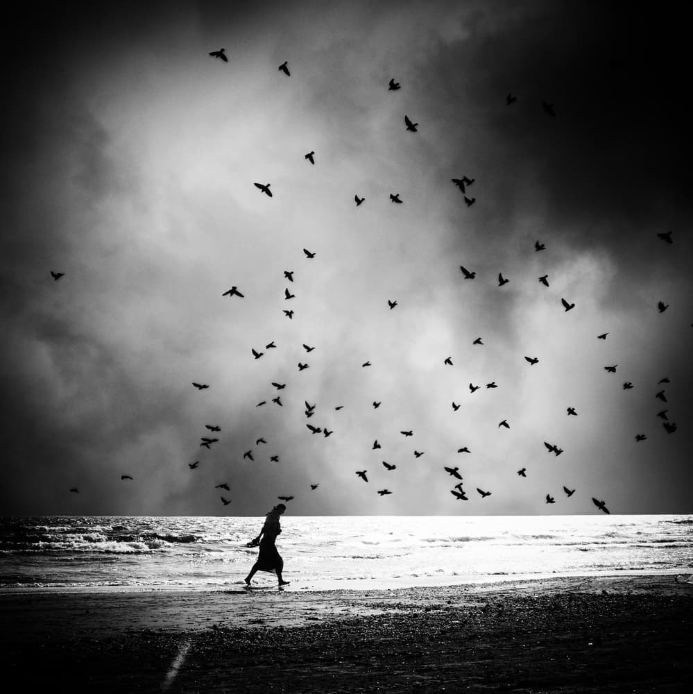 Solitary Figure Flying Birds by Bogdan Bouşcă — canvas wall art