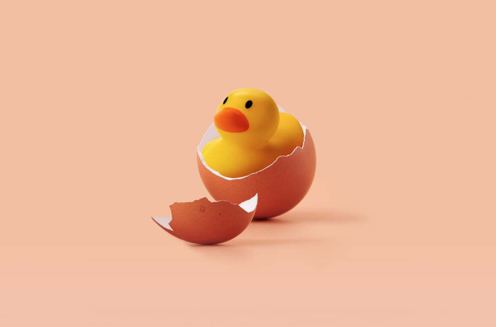Rubber Duck Hatching by Artem Pozdniakov — canvas wall art