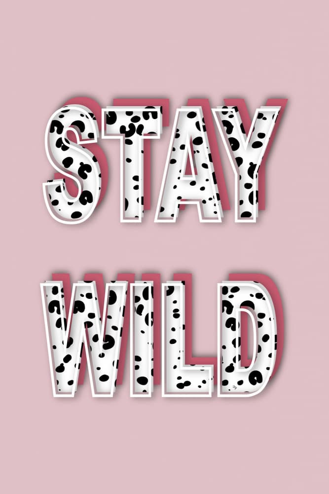 Stay Wild Dalmation Spots by Martina — canvas wall art
