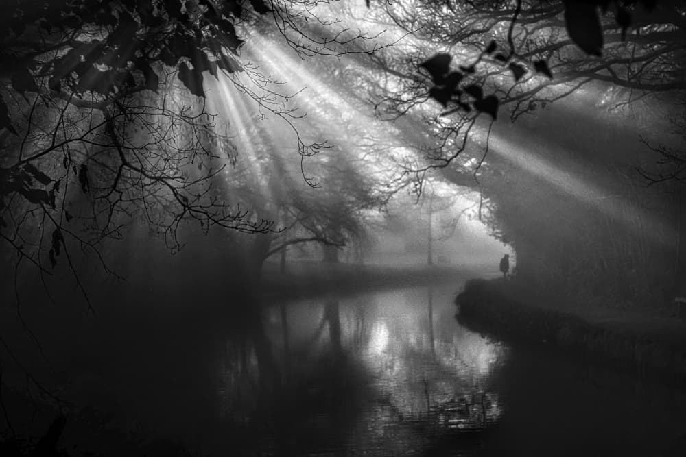 Misty Morning Light by Peter Davidson — canvas wall art