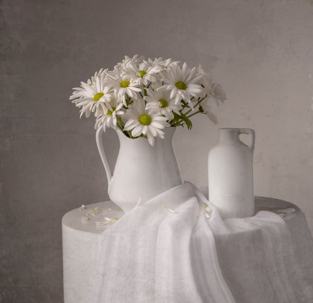 White Daisies Still Life by Margareth Perfoncio — canvas wall art