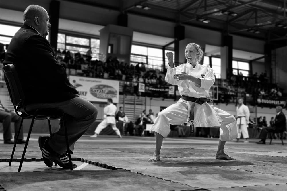 Karate Woman's Fierce Stance by Marcel Rebro — canvas wall art