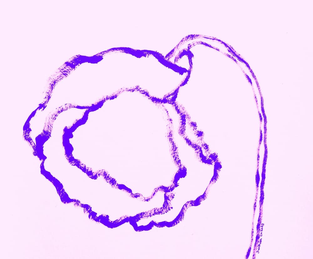 Purple Poppy Drawing by Santhosh ch — canvas wall art