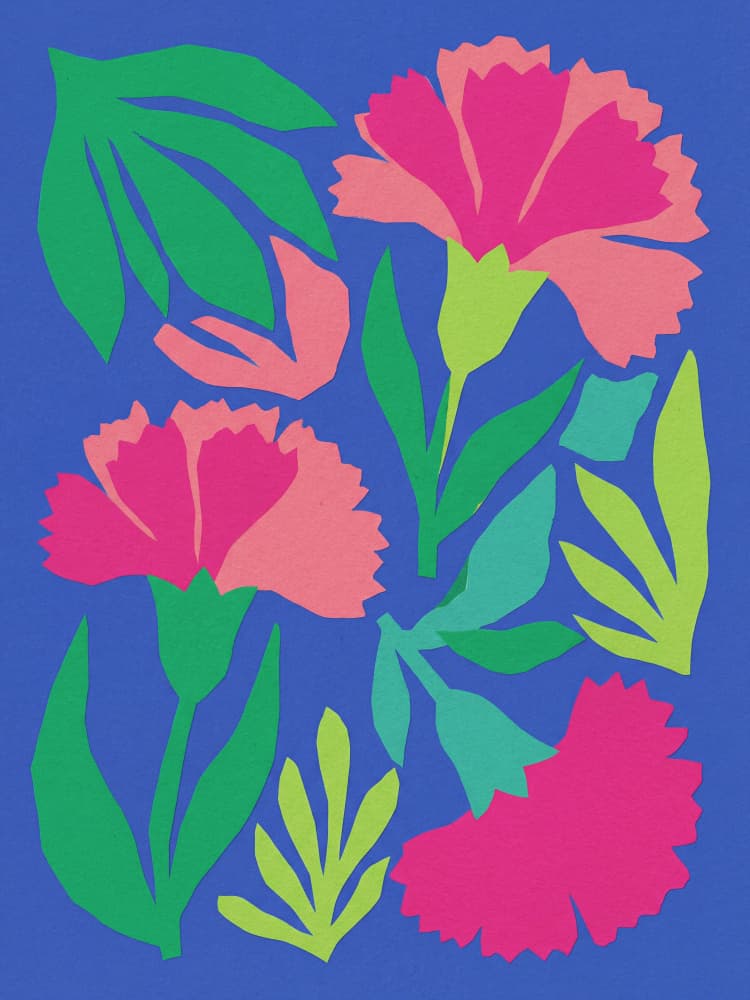 Modern Pink Carnations by Andreas Magnusson — canvas wall art