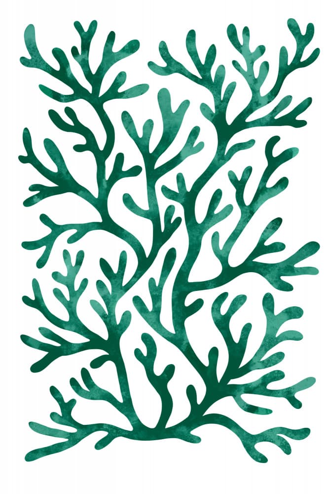 Teal Seaweed Pattern by EMELIEmaria — canvas wall art