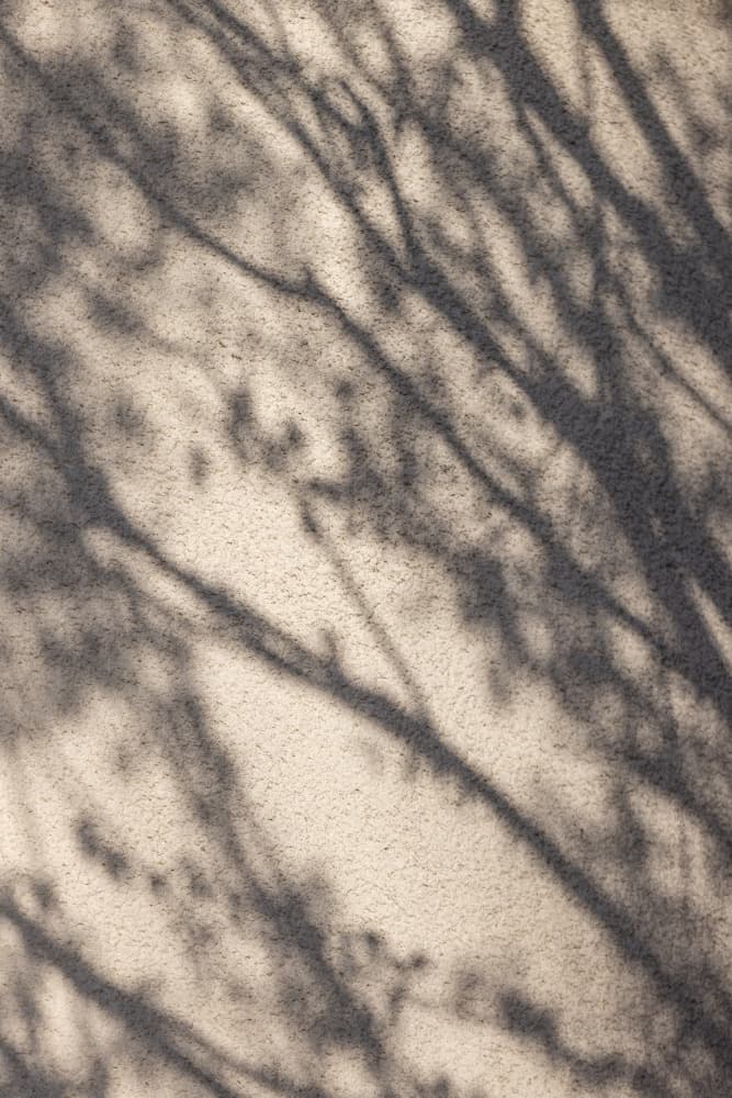 Abstract Tree Shadows by Mareike Böhmer — canvas wall art